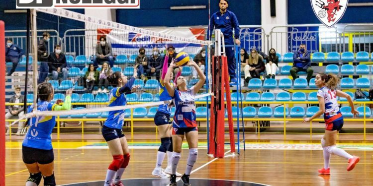 DP Noleggi SG Volley, la corsa continua!