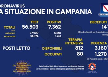 Corona Virus Campania: Totale Positivi: 817.218 i deceduti 8.659