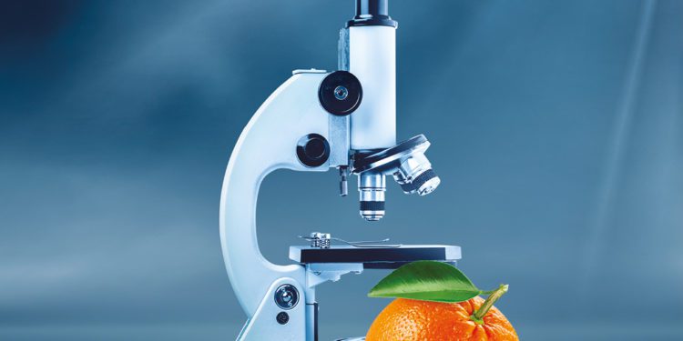 LE ‘ARANCE ROSSE PER LA RICERCA’ TORNANO  A SOSTEGNO DI FONDAZIONE AIRC IN OLTRE 7.000 PUNTI VENDITA DELLA GRANDE DISTRIBUZIONE  IN OCCASIONE DEL WORLD CANCER DAY