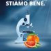LE ‘ARANCE ROSSE PER LA RICERCA’ TORNANO  A SOSTEGNO DI FONDAZIONE AIRC IN OLTRE 7.000 PUNTI VENDITA DELLA GRANDE DISTRIBUZIONE  IN OCCASIONE DEL WORLD CANCER DAY