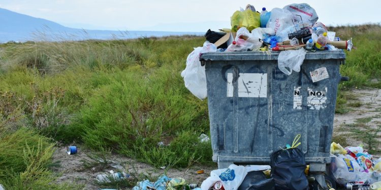 Giunta regionale, provvedimenti