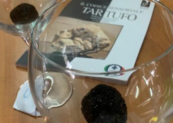VALORIZZAZIONE DEL TARTUFO CAMPANO