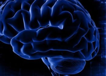 Covid può rimpicciolire il cervello: lo studio