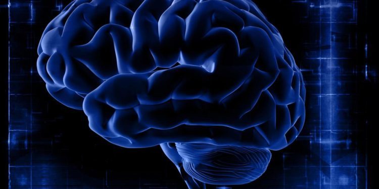 Covid può rimpicciolire il cervello: lo studio