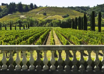 DONATELLA CINELLI COLOMBINI, ANCORA INNOVATRICE, METTE IN PRATICA IL NUOVO TURISMO DEL VINO