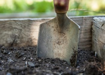 Antica Abellinum, studenti a lezione di archeologia. Spagnuolo: il parco sempre più polo di ricerca e formazione