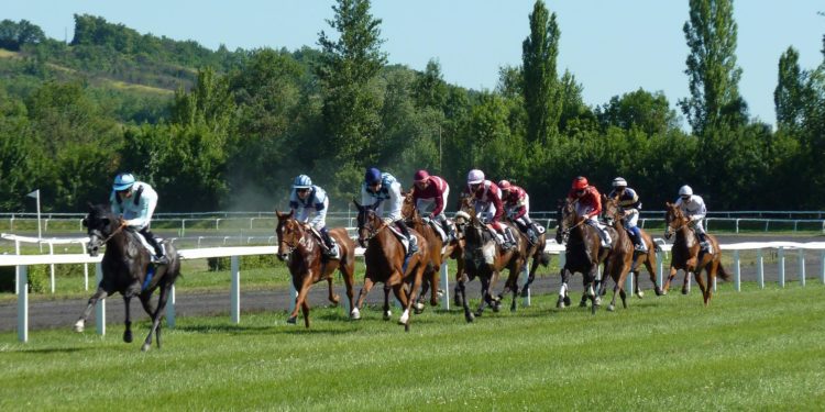 Bookmaker, chi è e cosa fa