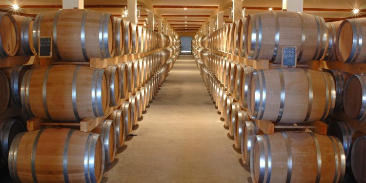 TRE WINE EXPERIENCE PER VIVERE CANTINE APERTE 2022 AL CASATO PRIME DONNE DI MONTALCINO