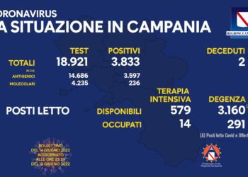 Corona Virus Campania: Totale Positivi: 1.415715. i deceduti 9.328