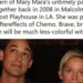 Morta annegata Mary Mara, l’attrice di ‘E.R.’ e ‘Law & Order’