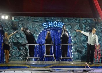 A Silvi Marina il  Circo Paolo Orfei, lo show più affascinante e travolgente d’Italia