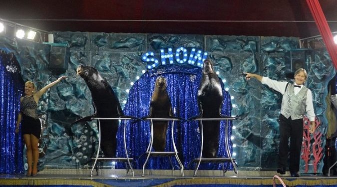 A Silvi Marina il  Circo Paolo Orfei, lo show più affascinante e travolgente d’Italia