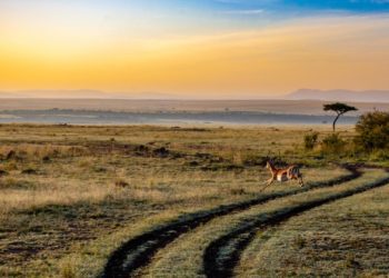 Visto Kenya per turismo, visite e affari: tutti i dettagli