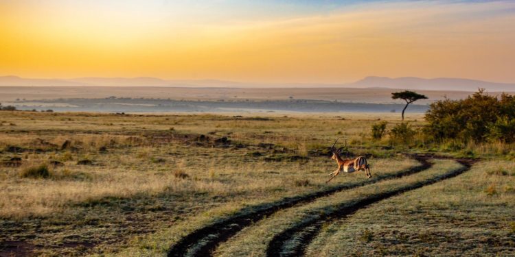 Visto Kenya per turismo, visite e affari: tutti i dettagli