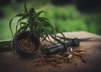 Il successo del mercato del Cbd: tendenze e previsioni future