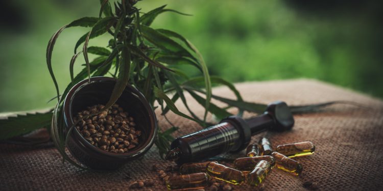 Il successo del mercato del Cbd: tendenze e previsioni future