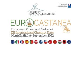 Castagna, da dodici Paesi del mondo alla Campania (Montella-Avellino) per l’evento internazionale Eurocastanea Italia 2022
