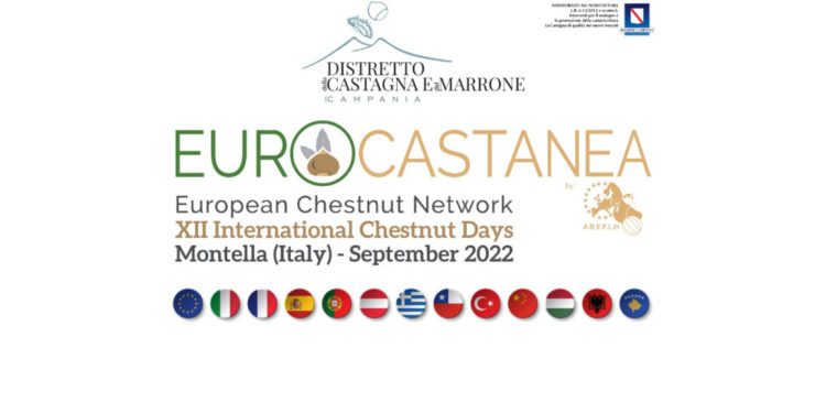 Castagna, da dodici Paesi del mondo alla Campania (Montella-Avellino) per l’evento internazionale Eurocastanea Italia 2022