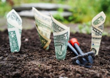 Esperio: Le azioni stanno subendo meno pressione