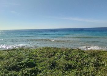 MURAGLIONE CROLLATO A FORIO, CINQUE ANNI FA L’ALLARME INASCOLTATO LANCIATO DA DOMENICO SAVIO