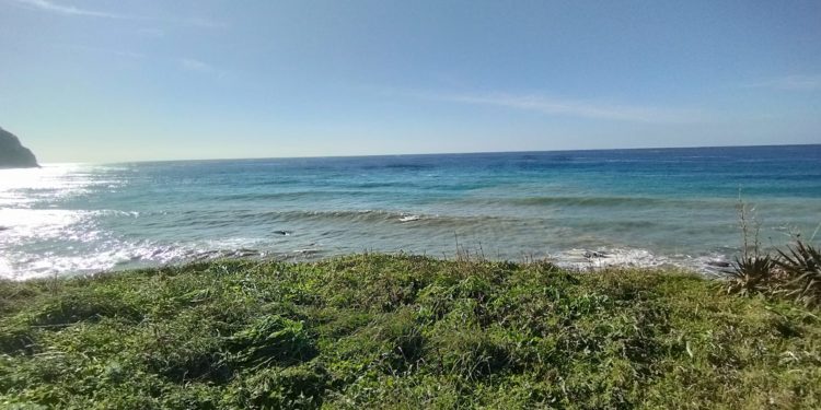 MURAGLIONE CROLLATO A FORIO, CINQUE ANNI FA L’ALLARME INASCOLTATO LANCIATO DA DOMENICO SAVIO
