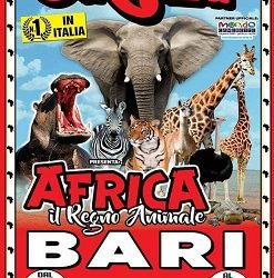 Bari: il grande sogno africano del Circo Paolo Orfei