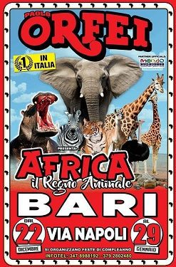 Bari: il grande sogno africano del Circo Paolo Orfei