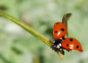 I dieci luoghi portafortuna nel mondo