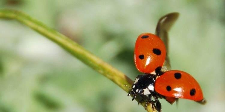 I dieci luoghi portafortuna nel mondo