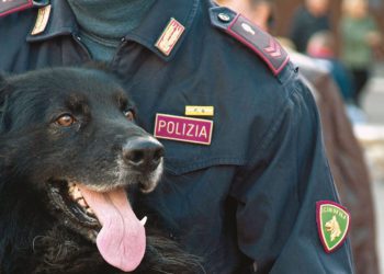 ADDESTRAMENTO NUCLEO CINOFILI VIGILI DEL FUOCO E GUARDIA DI FINANZA