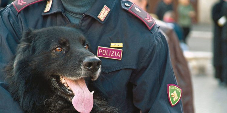 ADDESTRAMENTO NUCLEO CINOFILI VIGILI DEL FUOCO E GUARDIA DI FINANZA