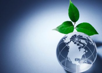 Consulente ambientale, quanto è importante la sua figura?