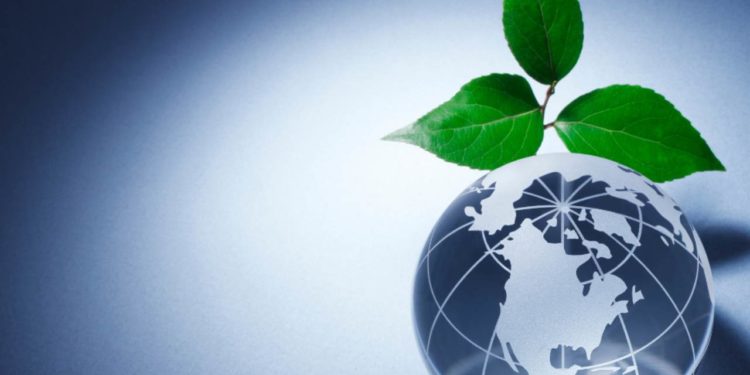 Consulente ambientale, quanto è importante la sua figura?