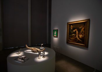 Oltre lo spazio, oltre il tempo. Il sogno di Ulisse Aldrovandi