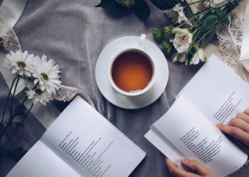 Stephanie Meyer, in arrivo altri due libri della saga Twilight?