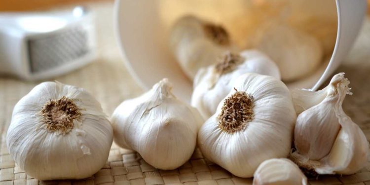 I benefici dell'aglio