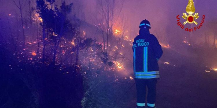 Montegrino Valtravaglia: Incendio boschivo | Il video