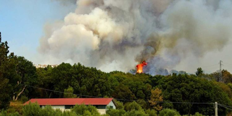 Incendio boschivo nel Varesotto | Il video