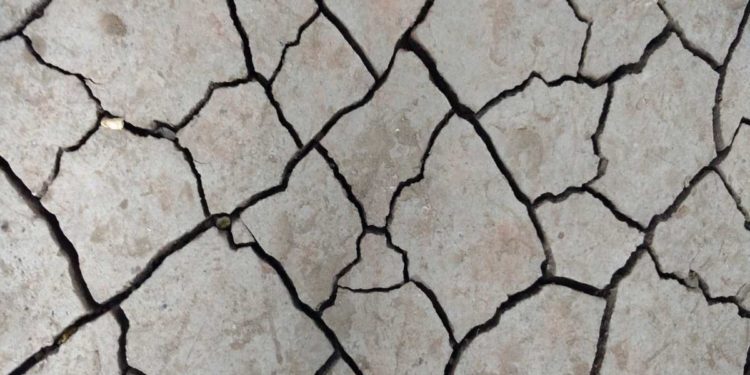 Umbertide: Terremoto: Prosegue il recupero dei beni della popolazione | Il video