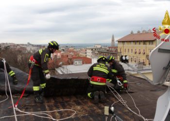 Trieste: Interventi per forte vento | Il video