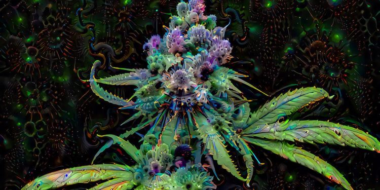 Cannabis e cuore, l’allarme: con uso quotidiano +34% rischio coronarie