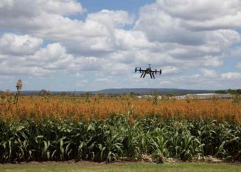 Agricoltura di precisione, ampliati all’11 aprile i termini per le iscrizioni al Corso Avanzato