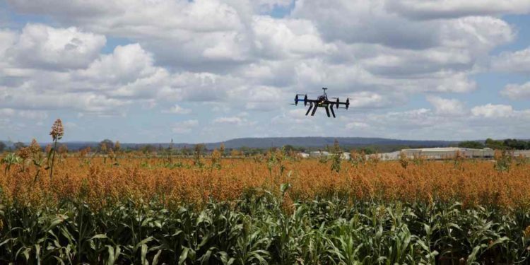 Agricoltura di precisione, ampliati all’11 aprile i termini per le iscrizioni al Corso Avanzato