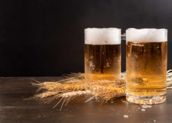 IL MENEGHINO: TAPPA IN VALCAMONICA CON LUPPOLETO CAMUNO