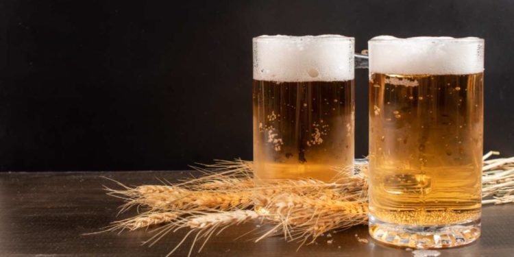 IL MENEGHINO: TAPPA IN VALCAMONICA CON LUPPOLETO CAMUNO