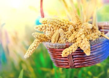 La bellezza vien dal miglio: dalle proprietà del cereale un aiuto per pelle e capelli