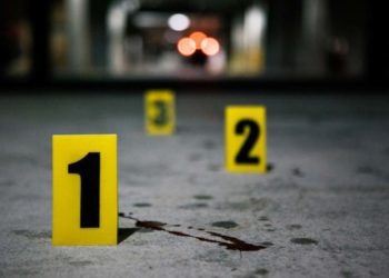 Zanalda, caso psichiatra uccisa: “Macchè manicomi, potere ai Giudici Tutelari e strutture educative”