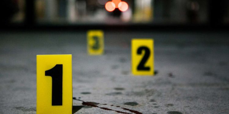 Zanalda, caso psichiatra uccisa: “Macchè manicomi, potere ai Giudici Tutelari e strutture educative”