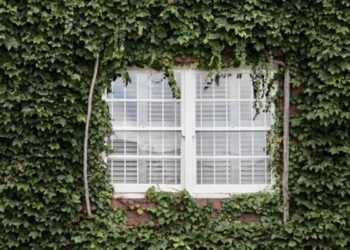 Perche scegliere MyBlind per le tende verticali da interno