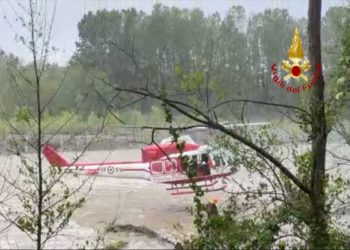 Caselle Torinese: Salvato un cane | Il video